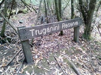 トゥルガニーニ保護区（Truganini Conservation Area）を歩きます